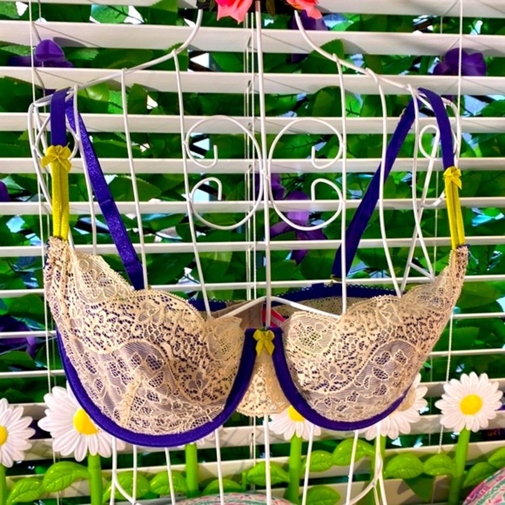 Cosmopolitan purple chartreuse lacy bra